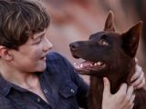 [Review] Red Dog: True Blue (2016) by Bede Jermyn